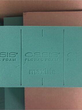 Oasis MaxLife Instant Floral Foam 2 blocks
